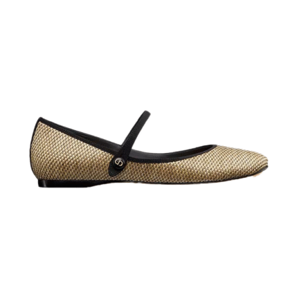Dior Souvenir Lovely-D Ballet Flat