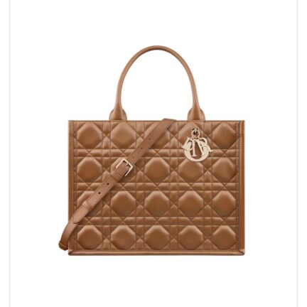 Medium Dior Book Tote