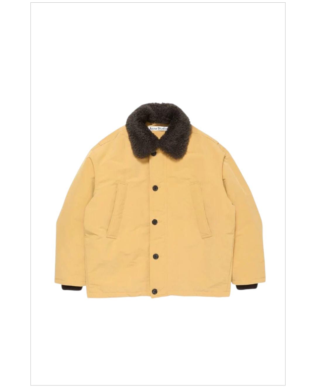 WhatsApp Image 2025-10-22 at 7.56.04 PM