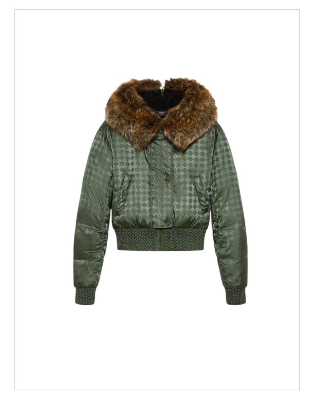 WhatsApp Image 2025-10-23 at 15.26.38_4ed4e36e