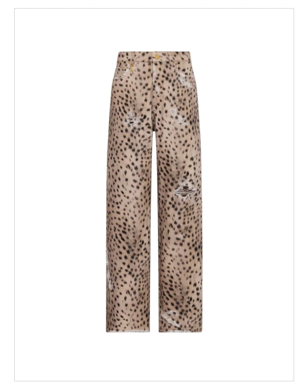 WhatsApp Image 2025-12-24 at 3.20.40 PM (2)